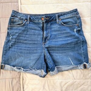 Sonoma Denim Blue Women's Shorts Size 16